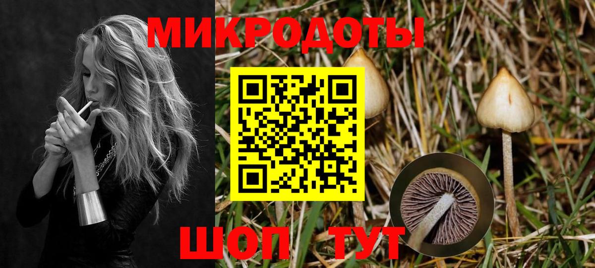Псилоцибиновые грибы MAGIC MUSHROOMS  Вход с VPN  Галлюциногенные грибы мицелий  Черногорск 